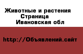  Животные и растения - Страница 11 . Ивановская обл.